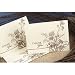 Natural Thank You Cards (Pack of 50)