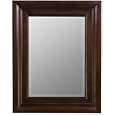 Cooper Classics Seneca Lake Rectangle Mirror in Tobacco Finish 5840