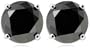 14k White Gold Black Diamond Stud Earrings (4 cttw)
