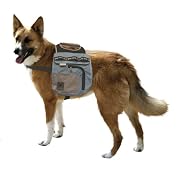 Outward Hound Urban Adventure Dog Backpack, Large