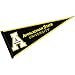 App State Mountaineers Pennant and 12 in X 30 in Banner