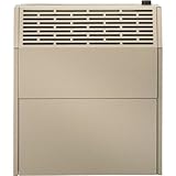 HouseWarmer Slim-Profile Direct-Vent Wall Heater with Built-In Blower - 18,000 BTU, Natural Gas, Model# HWDV181BDVN
