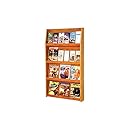 Wooden Mallet 24-Pocket Slope Literature Display, Mahogany