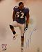 Ray Lewis signed Baltimore Ravens 16x20 Photo