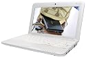 Medion AKOYA Mini E1210 MD 96891 25,4 cm (10 Zoll) Netbook (Intel Atom N270 1,6GHz, 1GB RAM, 160GB HDD, XP Home) wei&szlig;