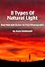 8 Types Of Natural Light That Will Add Drama To Your Photographs