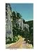 Black Hills, South Dakota - View of Spearfish Canyon, c.1937 Premium Poster Print, 18x24