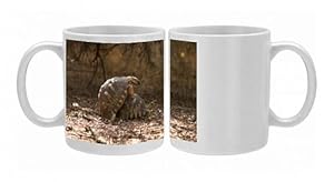 Radiated tortoises - mating, captive Photo Mugs