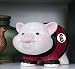 University of South Carolina Piggy Bank