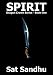 Spirit (Dragon Crown Series - Book One)