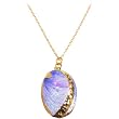 It Shell Be Yours Shell Necklace
