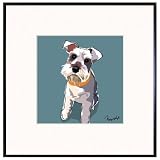 Paper Russells PAFR561 Limited Framed Print, 8x8 Inch - Schnauzer Looking Up