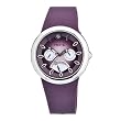 Philip Stein Women's F43S-PR-PR Quartz Stainless Steel Purple Dial Watch from Philip Stein