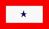 Blue Star Service Flag - 1 Star NYLON 3 ft x 5 ft
