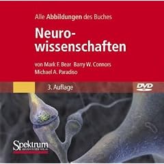 Bild-DVD, Neurowissenschaften