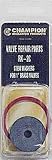 Champion Irrigation #RK-2C 1 Valve Stem Gask Kit