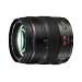 Panasonic H-HS12035E Lumix G X VARIO 12-35mm Lens