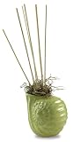 Review Pearlessence 10050 / Pearlessence Sea Scents Reed Diffuser, Cream Shell with Island Coconut Fragrance