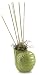 Health & Personal Care : Pearlessence Sea Scents Reed Diffuser, Cream Shell with Island Coconut Fragrance
