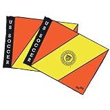 Replacement USSF Flags Only