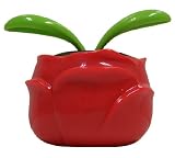 Flip Flap Solar Sprout -- Rose Flower Pot