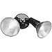Brinks 7105B 2 Head Par Dusk to Dawn Light , Black