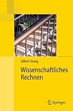 Wissenschaftliches Rechnen (Springer-Lehrbuch Masterclass) - Gilbert Strang