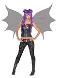 Costumes For All Occasions MR155045 Demonette Wings Black