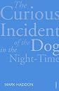 Curious Incident of the Dog in the Night-Time (Vintage 21st Anniv Editions)
