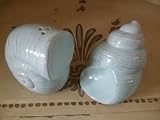 GISELA GRAHAM SHELL DESIGN SALT AND PEPER POTS