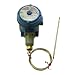 BriskHeat TB110N-140 TB110 Hazardous-Area Rated Bulb And Capillary Temperature Controller, Ambient Sensing, Temperature Range: 15 To 140°F (-9 To 60°C)