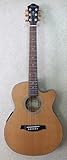 IBANEZ AEG45SE/LG GAR