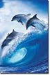Dolphin - Into the Blue Poster 22" X 34" Rp1179