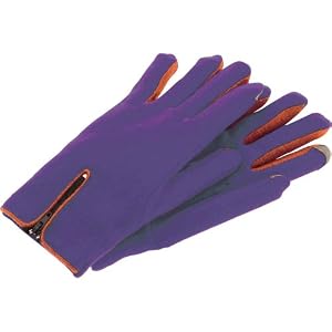 Echo Touch Gloves with zipper Compatible for iPhone - Size Large/Purple