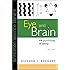 Eye and Brain