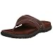 Skechers Women's Features Gigabyte Thong Image