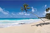Fathead Wall Decal Tropical Beach 6 Foot By 4 Foot