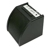 OSP AP30 30 Watt Digital Drum Amplifier