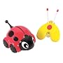 Kid Galaxy MY First Radio Control Buggies Lady Bug