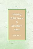 Providing public goods in transitional China