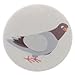 A&T Designs Unisex - Serious Pigeon 1.25