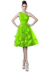 One Shoulder Tulle Lace Cocktail Homecoming Dress/Party Dress 