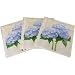 Novelty Floral Design Print Cocktail Napkins, Pack of 20