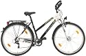 Onyx | Texo 28" Damen Trekkingrad das Trakingbike