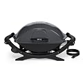 Weber 592001