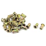 Uxcell　リベットナット　7mm　10×1mm　13mm　炭素鋼　亜鉛メッキ　67g　ブロンズトーン