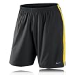 Nike 9 Inch Dri-Fit Running Shorts