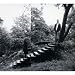 Timber Timbre