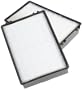 Holmes HAPF600D 2-pack 99.97 % True Hepa Replacement Filters for Holmes� and Bionaire� Air Cleaners