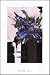 Blue Velvet by Ian King Art Print Poster 24.5 x 36.5
